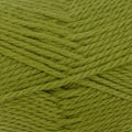Load image into Gallery viewer, Heirloom Merino Magic Chunky Yarn - 
6235 - Guava, available at Minerva's Bower