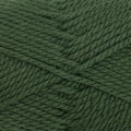 Load image into Gallery viewer, Heirloom Merino Magic Chunky Yarn - 
6577 - Basil, available at Minerva's Bower