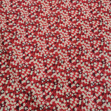 Load image into Gallery viewer, Liberty Remnants - priced individually