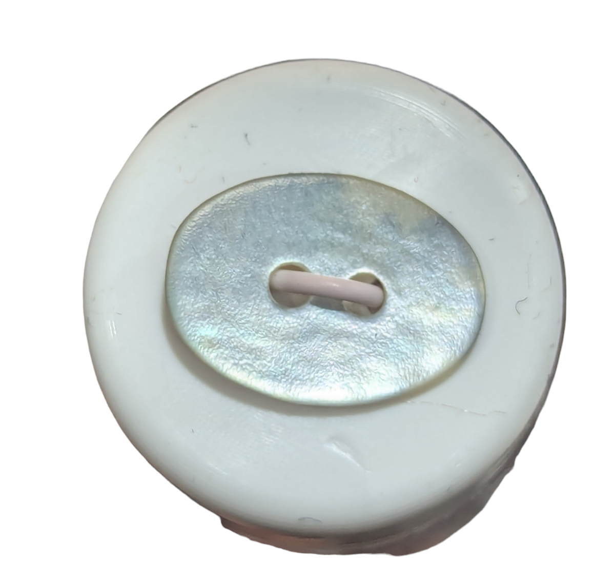 Oval Shell Button|Minervas Bower – Minerva's Bower