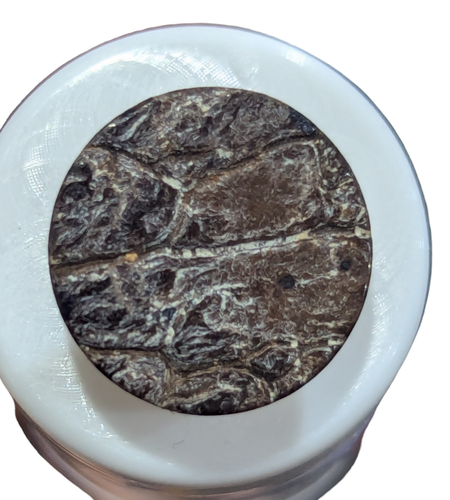 Coconut Wood Shank Button, 15mm
