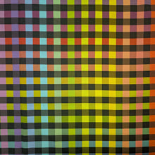 Load image into Gallery viewer, Flat lay of Extra Wideback 100% Cotton, Rainbow Check, for sale at Minerva's Bower