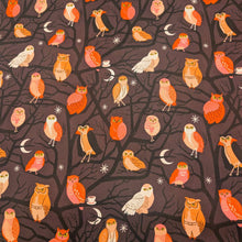 Load image into Gallery viewer, Pattern of colourful owls on a dark cotton Ruby Star Society fabric background. Made in Japan. Available at Minerva's Bower