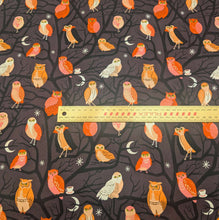 Load image into Gallery viewer, Pattern of colourful owls on a dark cotton Ruby Star Society fabric background. Made in Japan. Available at Minerva's Bower. Ruler included for scale