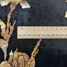 Load image into Gallery viewer, Close up of Silk Velvet, Golden Iris, for sale at Minerva&#39;s Bower, ruler included for scale