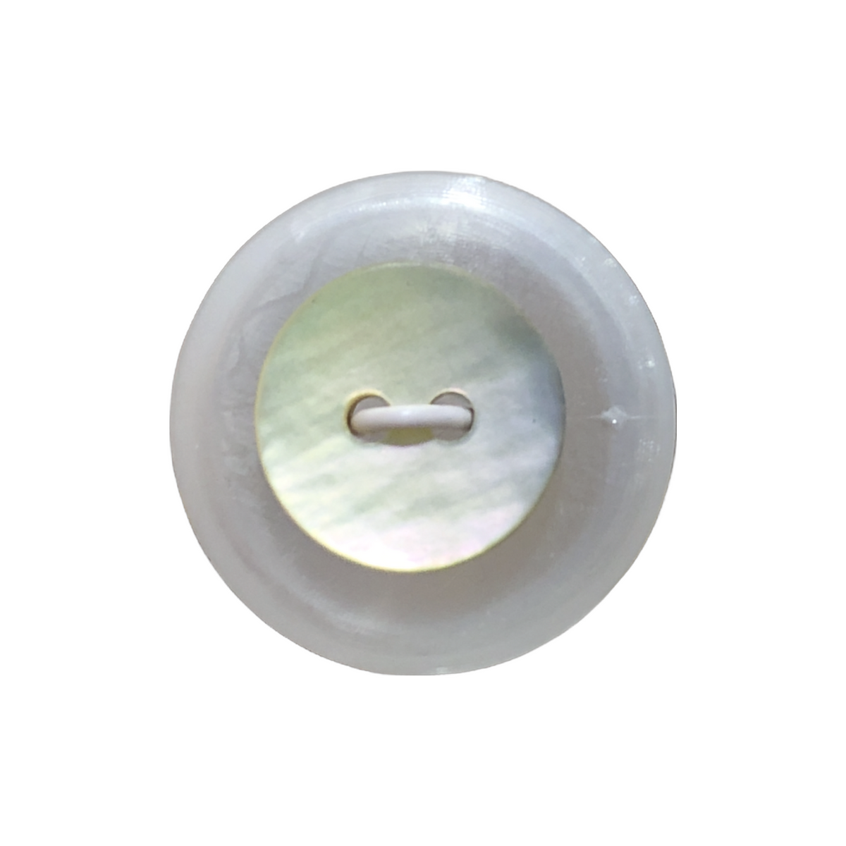Small Shell Shirt Button – Minerva's Bower