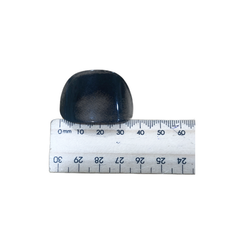 Black Oval Shank Button - Large